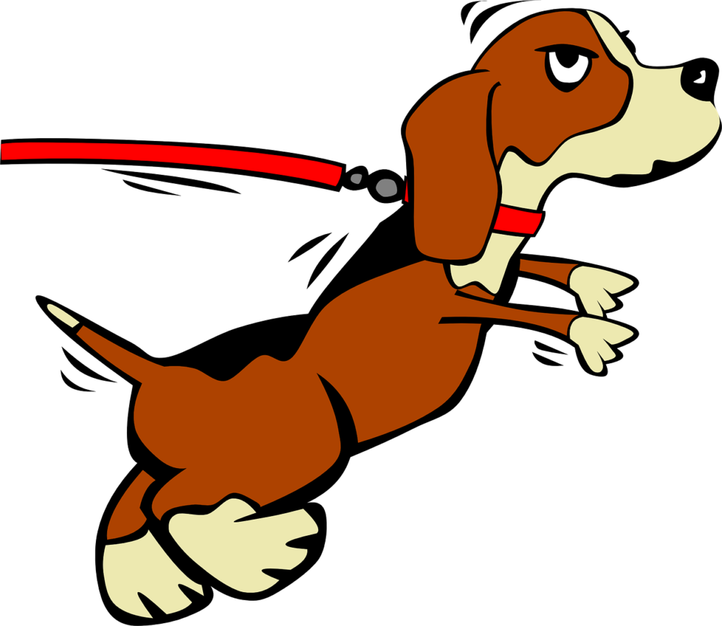 ¿Cómo detectar si un perro tiene alergias?