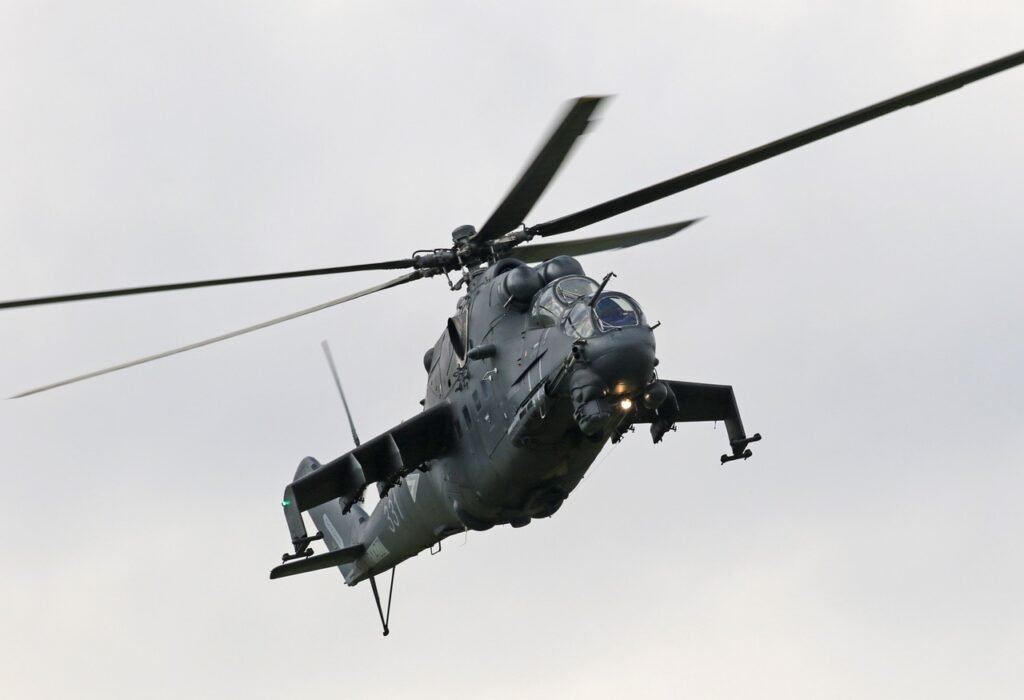 ¿Por qué mi hámster tiene el pelo mojado?