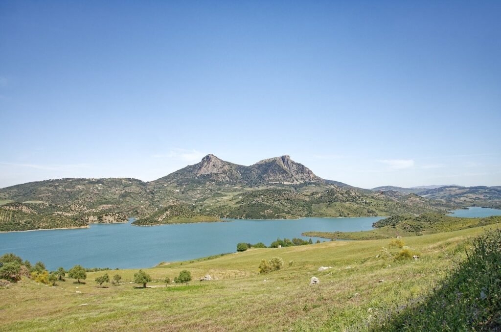 ¿Cómo cuidar el ambiente de un loro?