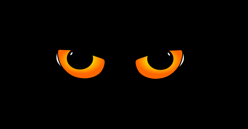 ¿Cómo limpiar los ojos de un gato?