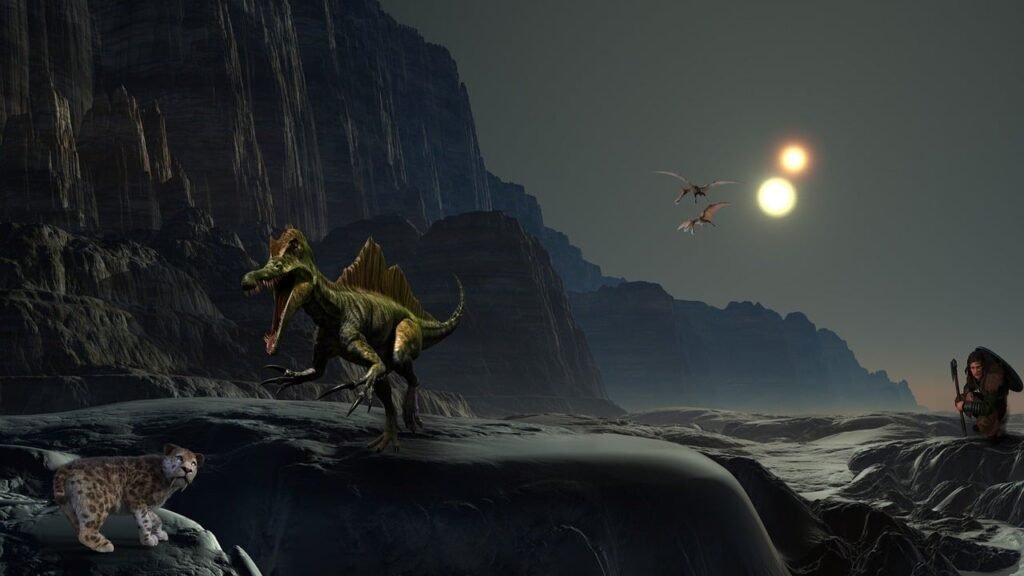 ¿Cómo saber si un gato está enfermo?